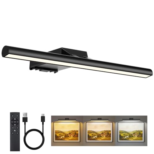 16" Picture Lights for Wall - 10000mAh Rechargeable Art Light - color: Black, size: 16inch