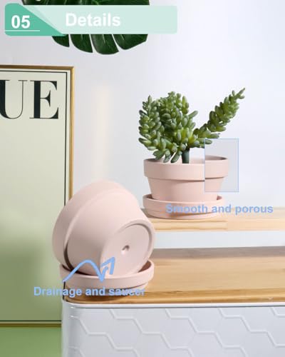 vensovo 5.7 Inch Pink Terracotta Succulent Pots with Saucers, 6 Pack - color: Pink, size: 5.7 Inch