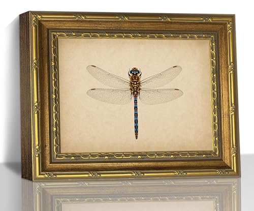 Vintage Dragonfly Animal Insect Gold Frame Wall Art Print Framed Artwork - color: Dragonfly Nature, size: 11"L x 9"W