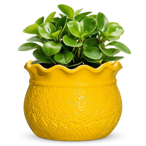 Ceramic Plant Pots, 6 Inch Indoor Planter with Drainage, Yellow - color: Yellow, size: 6 Inch