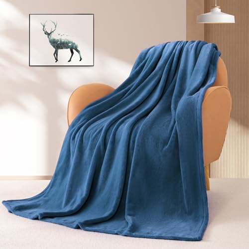BEAUTEX Fleece Throw Blanket for Couch Sofa Bed Soft Fuzzy Plush - color: Dusty Blue, size: Throw