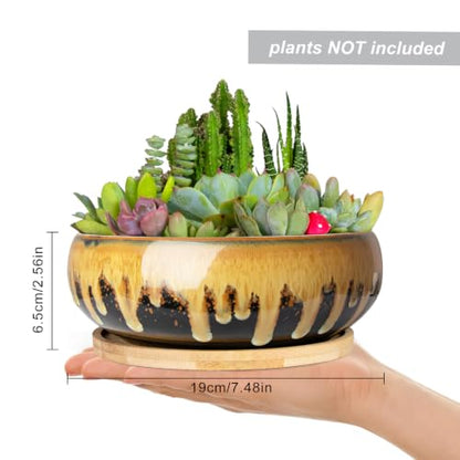 Succulent Pots, 7.3 Inch Ceramic Bonsai Pots with Drainage Tray, Plant Pots - color: Flow Glaze