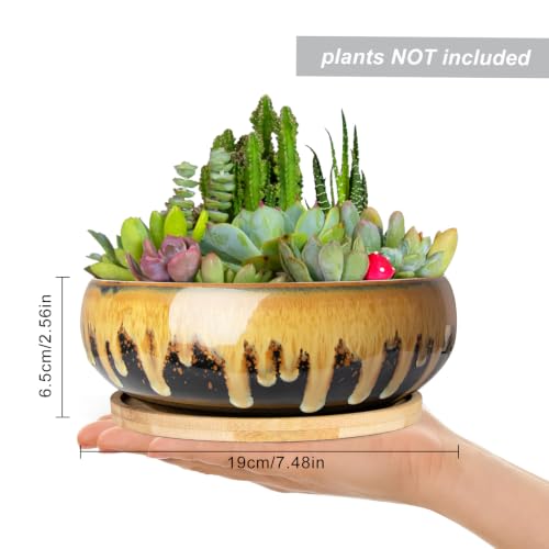 Succulent Pots, 7.3 Inch Ceramic Bonsai Pots with Drainage Tray, Plant Pots - color: Flow Glaze