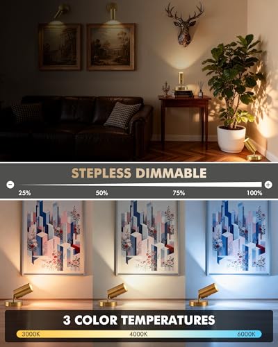 2 Pack Gold Wireless Led Spotlights Indoor with Remote, 8000mAh Cordless Battery Operated Plant Uplights, Rechargeable Small Battery Powered UpLighting for Wall Floor Picture Art Accent Tree