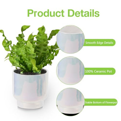 White Gradient Ceramic Plant Pots - Succulent Flower Small Planter, Pot for Indoor Outdoor Garden Plants with Drainage Holes - Plants Not Included 4.33 X4.33 Inch - color: White Gradient