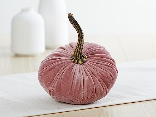 Your Heart's Content Set of 4 Velvet Pumpkin (Sm Gray Taupe Ivory Blush) - color: Sm Gray Taupe Ivory Blush
