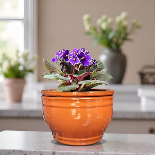 African Violet Pots Self Watering Orange 6 inch - color: Orange