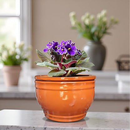 African Violet Pots Self Watering Orange 6 inch - color: Orange