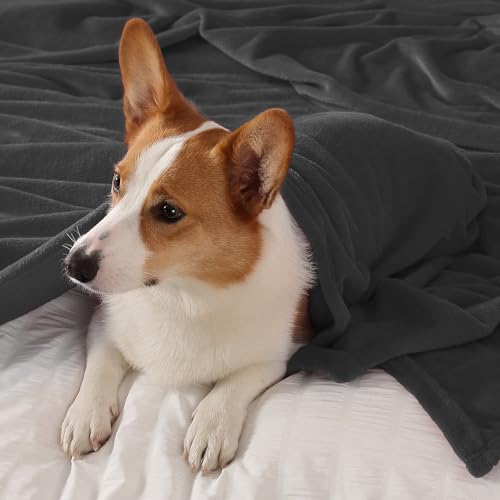 Elegant Throw Blanket for Couch & Sofa, All-Season Lightweight Fleece Blanket, Luxury Soft Cozy Fuzzy Throw for Her Him, Dark Grey, 50 x 56 Inches