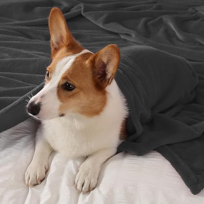 Elegant Throw Blanket for Couch & Sofa, All-Season Lightweight Fleece Blanket, Luxury Soft Cozy Fuzzy Throw for Her Him, Dark Grey, 50 x 56 Inches