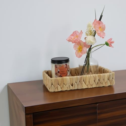 Water Hyacinth Bathroom Vanity Tray, 10 Inch - size: 10.1" x 6" x 2"