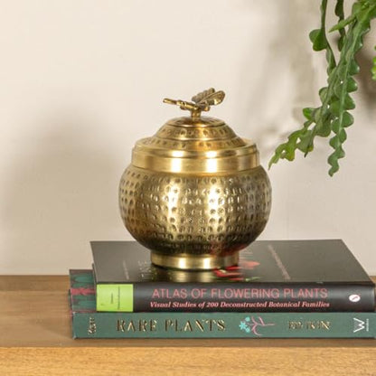 Creative Co-Op Round Hammered Metal Container with Butterfly Finial, Brass Finish - size: 6 inches (Diameter) x 7 inches (Height), style: Cottage