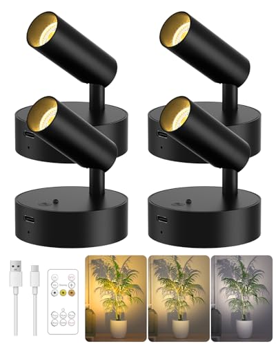 Spotlights Indoor with Remote, 3000Mah Rechargeable Wireless Plant Light - color: Black-3000mAh