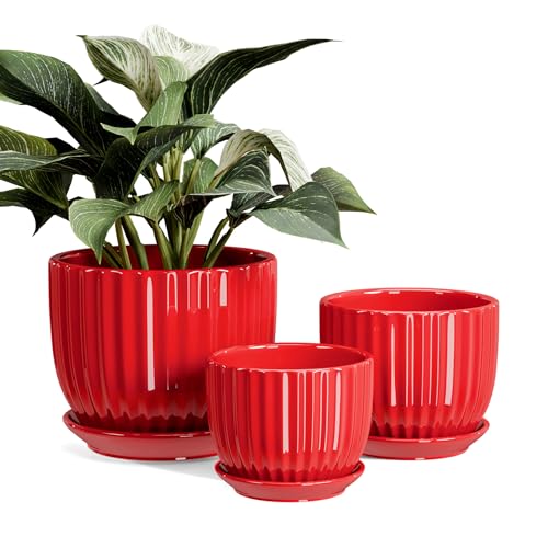 Ceramic Plant Pots Set of 3-Red Flower Pots with Drainage Holes and Saucers - color: Red