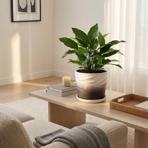 8 Inch Ceramic Plant Pot,Dark Gray+White - color: Dark Gray + White, size: 8 Inch-1 Pack