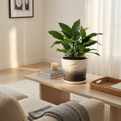 8 Inch Ceramic Plant Pot,Dark Gray+White - color: Dark Gray + White, size: 8 Inch-1 Pack