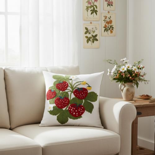 Embroidered Throw Pillow Covers 18x18 inch Pack of 2 Red Strawberry - color: Red Strawberry