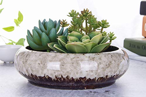 VanEnjoy 7.3 inch Round Large Shallow Succulent Ceramic Glazed Planter Pots with Drainage Hole, Bonsai Pots Garden Decorative Cactus Stand Flower Container (White) - color: White