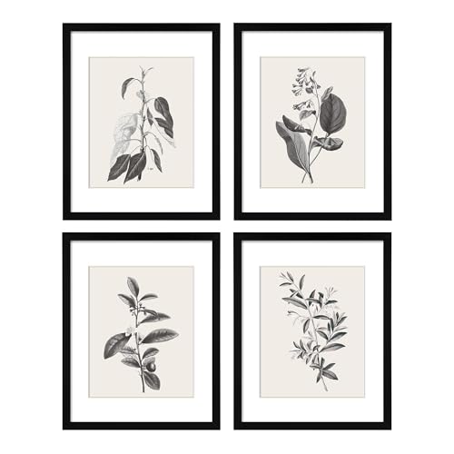ArtbyHannah Framed Kitchen Wall Art, 8x10 inch Botanical Gallery Wall Decor - size: 8x10 Inch