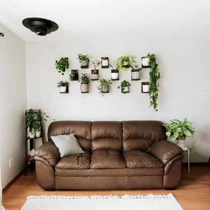 Daniel's Plants 3 Pack Midcentury Modern L Shaped Floating Shelves | Wall Mounted Plant Shelf Kit | Solid Wooden Shelf | 3 Shelves (Woodland Brown) - color: Woodland Brown
