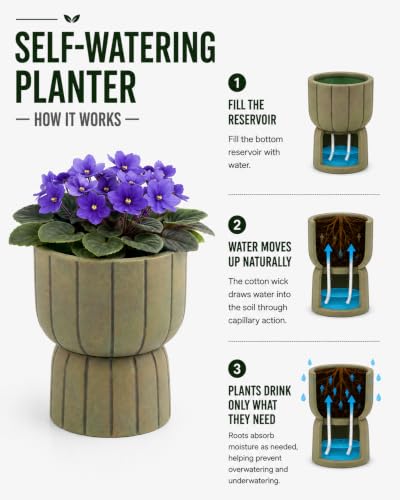 Self Watering Pots for Indoor Plants, 6 Inch Ceramic African Violet Pot - color: Green 6″
