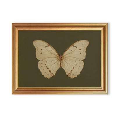 EJPFOGV Butterfly Framed Canvas Wall Art Dark Green Background 12x16 inches - color: Butterfly, size: 16"L x 12"W