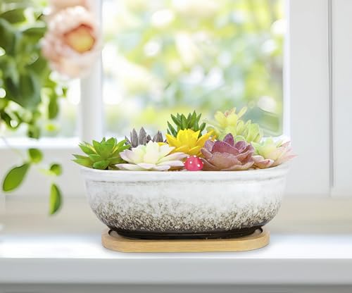 Succulent Pots, 1 Rectangle Planter + 1 Ceramic Bonsai Pots with Drain Tray - color: White