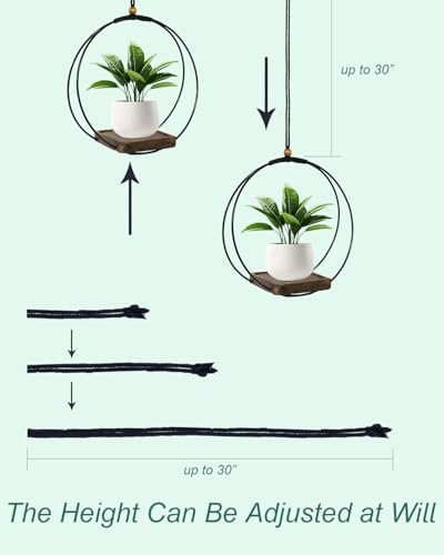 vensovo Hanging Planter for Indoor Plants, 2 Pack