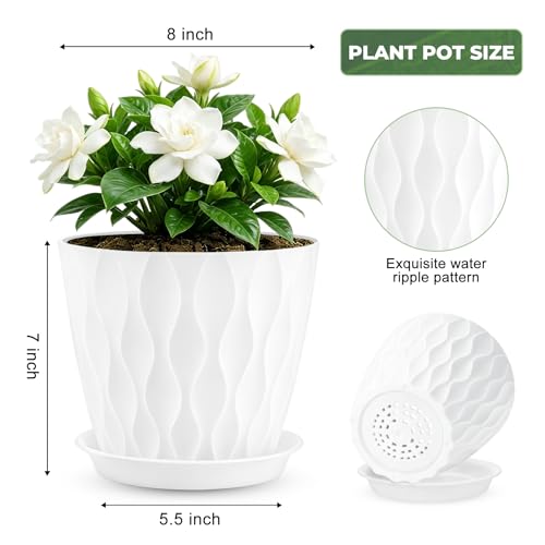YNNICO 8 inch 6 Pack Plant Pots for Indoor Drainage Holes and Tray Saucers - color: White, size: 8 inch-6 pack
