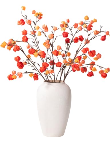 Fall Physalis Branches - 37" Faux Red Berry Stems, fake Flowers for Vase - color: 5pcs Physalis