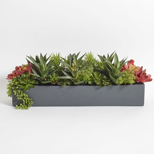 CG Hunter, Oblong Faux Succulent Arrangement, Grey, Home Decor - size: 27" Oblong Grey