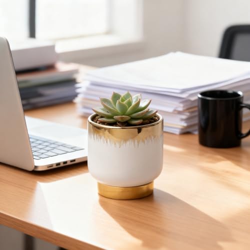 White Gold Ceramic Planters, Flower Pots, 4.33 X 4.33 Inch - color: White and Gold