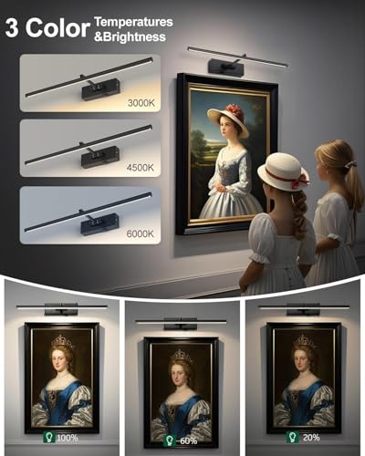 Battery Operated Picture Light with Wireless Remote 3CCT Dimmable Black Wall Art Lights for Paintings 3 Colors Rechargeable home decor Gallery Light 16’‘ Artwork Lighting for Canvas Timer Function - size: 16''