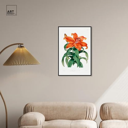 Art Remedy Botanical Prints Canvas, 20" x 30", Black Frame, Thunberg Orange Lily - color: Black Frame, size: 31"L x 21"W