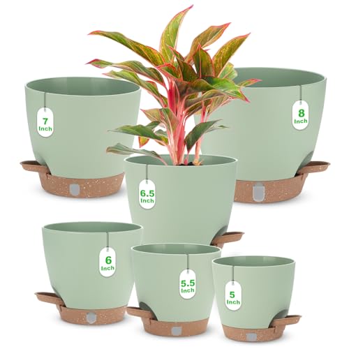 Self Watering Planter Set with Visual Water Level, 6Pack Small Plastic Pot with Drainage Holes and Reservoir Saucers, Modern 8+7+6.5+6+5.5+5 Inch Bottom Watering Flower Pots for Indoor Plant - Green - color: Green-small