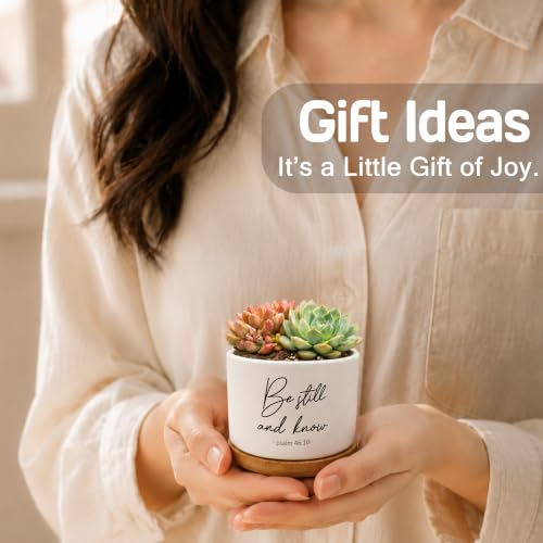 Christian Bible Verse Plant Pots, Be Still and Know Religious Scripture Ceramic Succulent Flower Planters(No Plants) - color: Psalms D