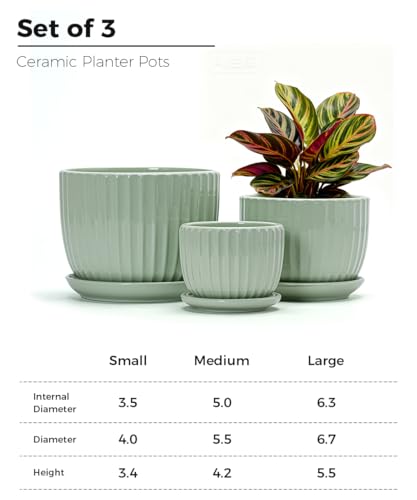 Flower Pots,Ceramic Plant Pots with Drainage Holes Set of 3（Light Green） - color: Light Green