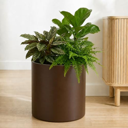 10 Inch Coffee Metal Plant Pot with Drainage Hole, Indoor Outdoor - color: 10 Inch Coffee