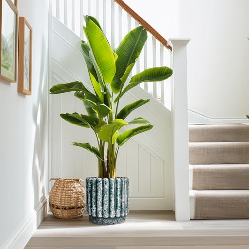 Ceramicfor Ceramic Plant Pot, 9.6 Inch, Green - color: Green, size: 9.6 Inch