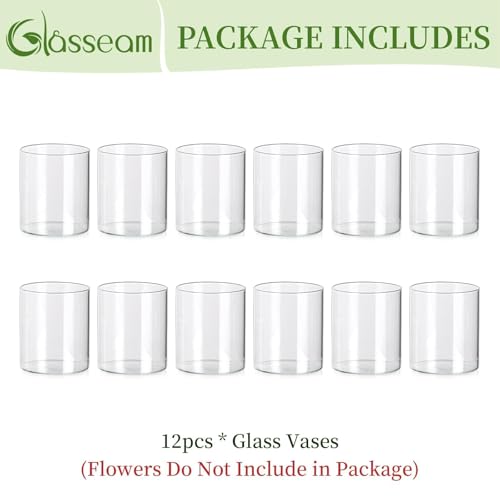 Glasseam Glass Cylinder Vase for Centerpiece, 12Pcs Small Clear Flower Vase - size: 4In