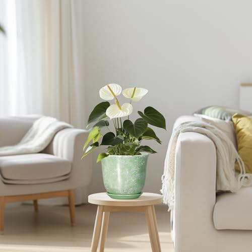 Ceramic Plant Pots, 5.6 Inch Plant Pot with Drainage Hole, Green - color: Gemstone Apple Green, size: 6 Inch