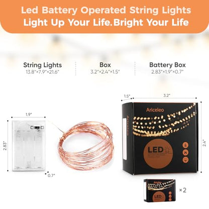 Ariceleo 2 Pack 16.4ft Battery Operated String Lights with Timer, Warm White with Synchronized Twinkle Mode, Fairy Lights Battery Powered, 50 LEDs, Idea for Christmas Bedroom Party Wedding - color: Warm White, size: 2 Pack-Upgrade