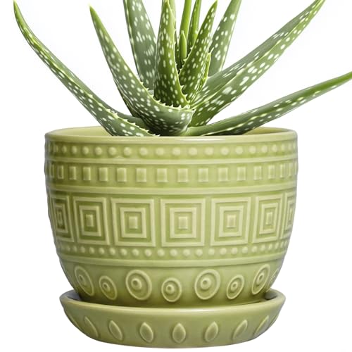 G EPGardening Ceramic Pots for Plants 5.5 Inch Round Ceramic Planter, Green - color: Palindrome Green