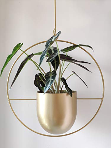 Boho Metal Plant Hanger,Metal Round Hanging Planter, Modern Planter, Mid Century Plant Holder, Minimalist Planter for Indoor Outdoor Home Decor (Gold)