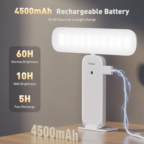 NARUNDREN Rechargeable Picture Lights for Wall with Remote-2PC(White) - color: White