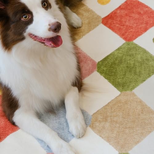 jinchan 2x5 Runner Rug Colorful Checkered Hallway Washable Kids Rug Playful - color: Diamond Circus, size: 2' x 5' (Rectangular)