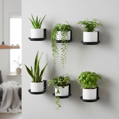 6 Pack 6'' Wall Mount Plant Holder with 8 Replaceable Trays, Black - size: 6 Inch