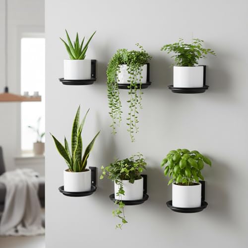 6 Pack Wall Mount Plant Holder with 8 Replaceable Trays, Black, 4 Inch - size: 4 Inch