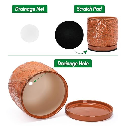 D'vine Dev Embossed Leaves Ceramic Planter, 8 in, Pumpkin, 27-A-Q-J - color: Pumpkin, size: 8 Inch