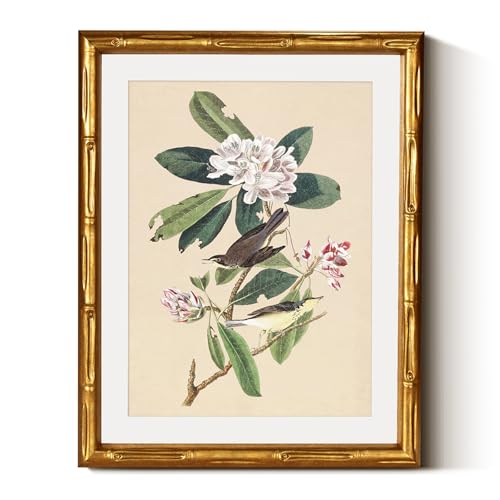 InSimSea Gold Bamboo Framed Wall Art, Vintage Bird Botanical Prints,11x14In - color: Canada Warbler